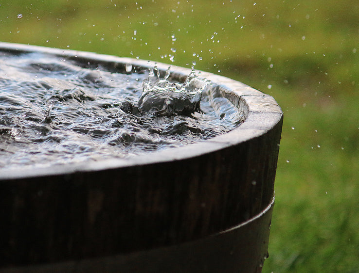 Rain Barrels