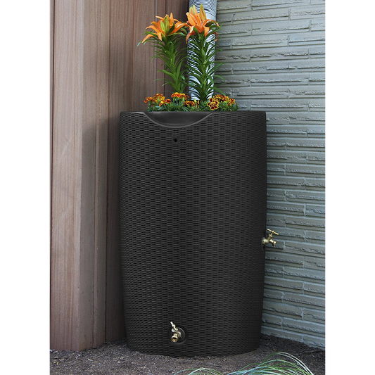 Rain Barrel | Bali | New | 50G | Dark Brown